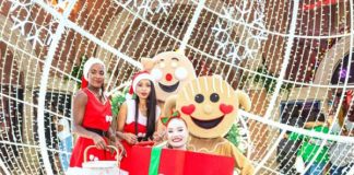 Montecasino Set To Become Gauteng’s One-Stop Festive Entertainment Destination Montecasino Set To Become Gauteng’s One-Stop Festive Entertainment Destination
