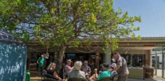 Sunny skies and large crowds at Renishaw Hills Open Day