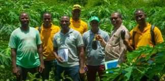 ISSD-Sahel Project Strengthens Seed Sector in Mali and Niger ISSD-Sahel Project Strengthens Seed Sector in Mali and Niger