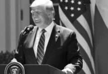 Global Investors Price in Decisive Trump Victory – Octa Analyses Early Market Reactions Donald Trump