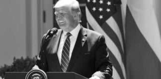 Global Investors Price in Decisive Trump Victory – Octa Analyses Early Market Reactions