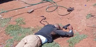 Swift response by the police leads to the arrest of business robbery suspects