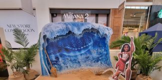 Embark on a Magical ‘Sea to Safari’ adventure at Woodlands this Festive Season! Embark on a Magical ‘Sea to Safari’ adventure at Woodlands this Festive Season!
