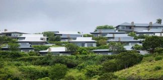 2024 a good year for property investment as Renishaw Hills on the KZN South Coast note sales spike