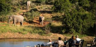 Experience ethical tourism at Lalibela Wildlife Reserve