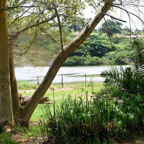 eNanda Adventure Park