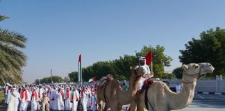 Sharjah Marks 53rd UAE Union Day, Celebrates with Global Audience