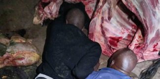 Three suspects in court for stealing and slaughtering four cattle Three suspects in court for stealing and slaughtering four cattle