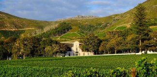 366 Years of South African Wine: Excitement Builds for Annual Wine Harvest Commemorative Event