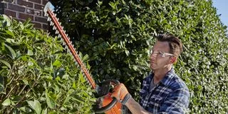 SHARP ADVICE: MASTER THE ART OF HEDGE TRIMMING Hedge trimming