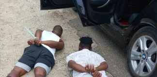 Barberton: Police arrest two suspects for possession of explosives Police arrest two suspects for possession of explosives