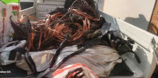 Two suspects arrested for tampering with, damaging or destroying essential infrastructure Two suspects arrested for tampering with, damaging or destroying essential infrastructure