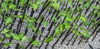 Aggregate supports success in commercial farming Aggregate supports success in commercial farming
