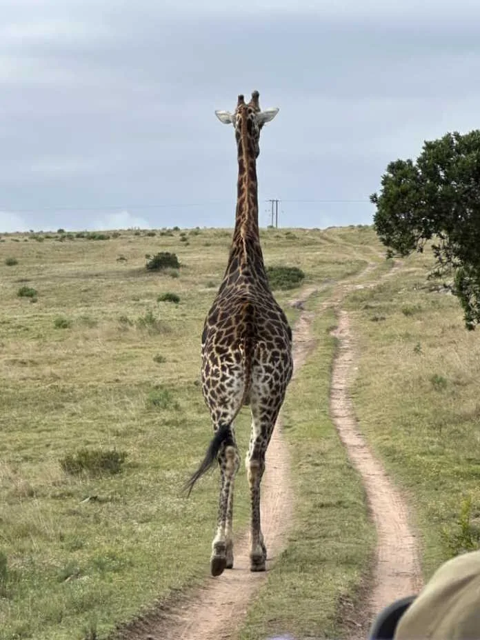 Lalibela Wildlife Reserve