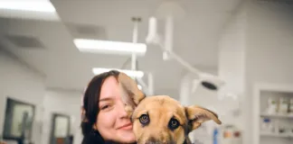 Why your dog might need more than just a scratch Why your dog might need more than just a scratch