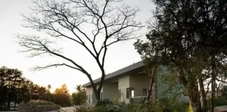 7 great tips for sustainable landscaping in KwaZulu-Natal 7 great tips for sustainable landscaping in KwaZulu-Natal