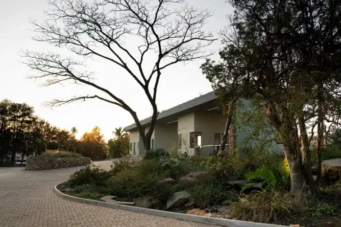 7 great tips for sustainable landscaping in KwaZulu-Natal 7 great tips for sustainable landscaping in KwaZulu-Natal