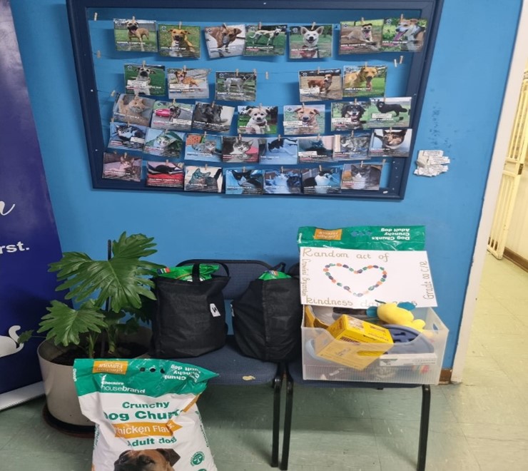 Donation Parcels from Crawford Bryanston to the SPCA