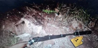 Alleged poacher fatally wounded during a shootout with field rangers