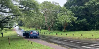 Three suspects were fatally wounded during a shootout with police officers