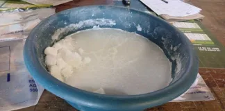 SAPS detains two Nigerian nationals for dealing in drugs