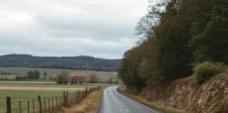 Motorists Must Know Their Legal Rights When Stopped at a Roadblock