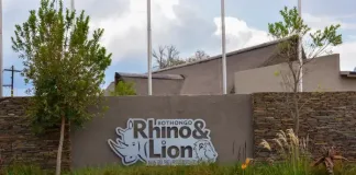 Four Reasons The Bothongo Rhino & Lion Nature Reserve Is The Perfect Family Destination This Easter Weekend