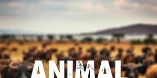 Animal cruelty