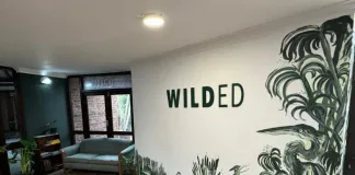 Turning wild weeds into edible meals: Rewilding expert, Nikki Brighton, in Scottburgh for walk-and-talk fundraiser Turning wild weeds into edible meals: Rewilding expert, Nikki Brighton, in Scottburgh for walk-and-talk fundraiser