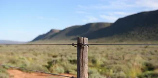 Don’t miss Oudtshoorn on your Garden Route trip. Photo credit: Unsplash contributor Juan Smith.