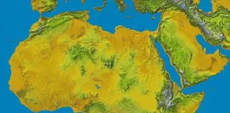 Africa and the Multipolar Moment: Between Non-Alignment and Neo-Colonial Games Africa and the Multipolar Moment: Between Non-Alignment and Neo-Colonial Games