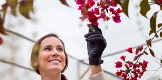 Why Feminine Hygiene Is More Than Cleanliness—It’s Confidence!