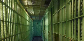 Fugitive rhino poacher sentenced to 110 years' imprisonment