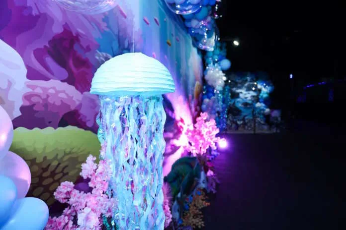 Nice display at the Ocean Wanders Experience - Rand Show 2025