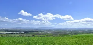 We have a collective responsibility to preserve South Africa’s agricultural land We have a collective responsibility to preserve South Africa’s agricultural land
