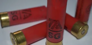 spent-shotgun-shells
