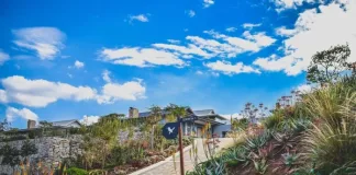 South Africa’s Property Market Evolution Leads to the Rise of Precinct Living
