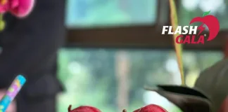 Flash Gala surpasses one million cartons: A South African apple success story Flash Gala surpasses one million cartons: A South African apple success story