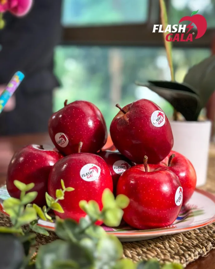 1-2 Flash Gala surpasses one million cartons: A South African apple success story