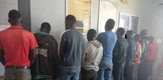 Mpumalanga Police Arrest 10 Undocumented Foreign Nationals in Operation Vala Umgodi