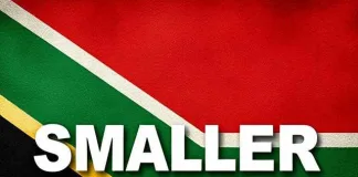 Proposed Constitutional Amendment for a Smaller Cabinet and Smarter Government