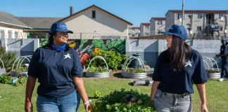 SOWING THE SEEDS OF FOOD SECURITY