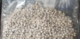 Police Arrest Suspect with R105,400 Worth of Mandrax in Delft Drug Bust