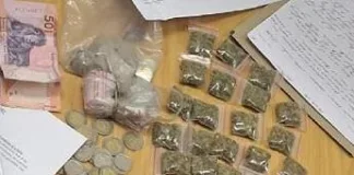 Johannesburg Police Arrest Over 470 Suspects in Multi-Operation Crackdown