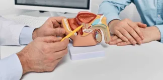 PROSTATE HEALTH: KEY FACTS FOR MEN OVER 40