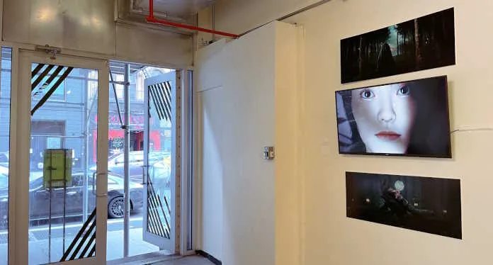 Visual Artist Shuyi Qiu