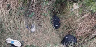 Mozambican national poacher shot and arrested in Kruger National Park