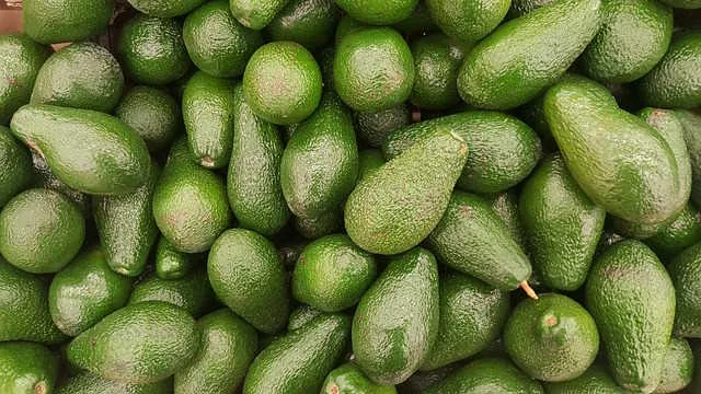 avocado-2351191_640 First shipment of South African avocados arrive in China
