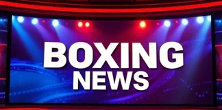 South Africa Aims for Boxing Glory as Koopman Challenges for IBO Title