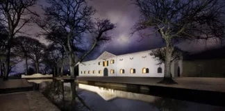 From Vine to Glass: Honouring South Africa’s Wine Pioneers From Vine to Glass: Honouring South Africa’s Wine Pioneers